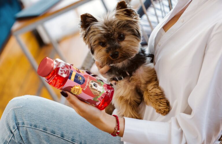 Dog Juice